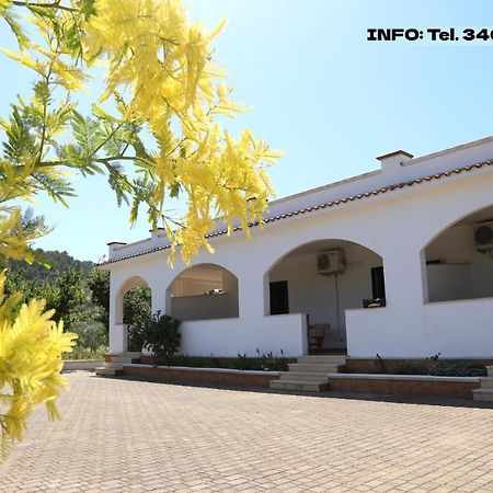 Annaluce Apartments Vieste Buitenkant foto
