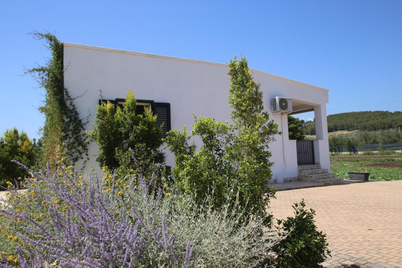Annaluce Apartments Vieste Buitenkant foto