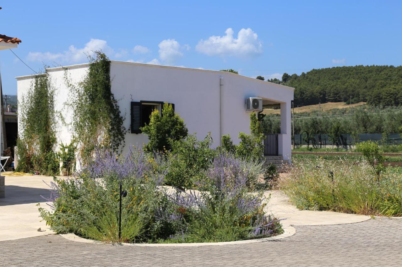Annaluce Apartments Vieste Buitenkant foto